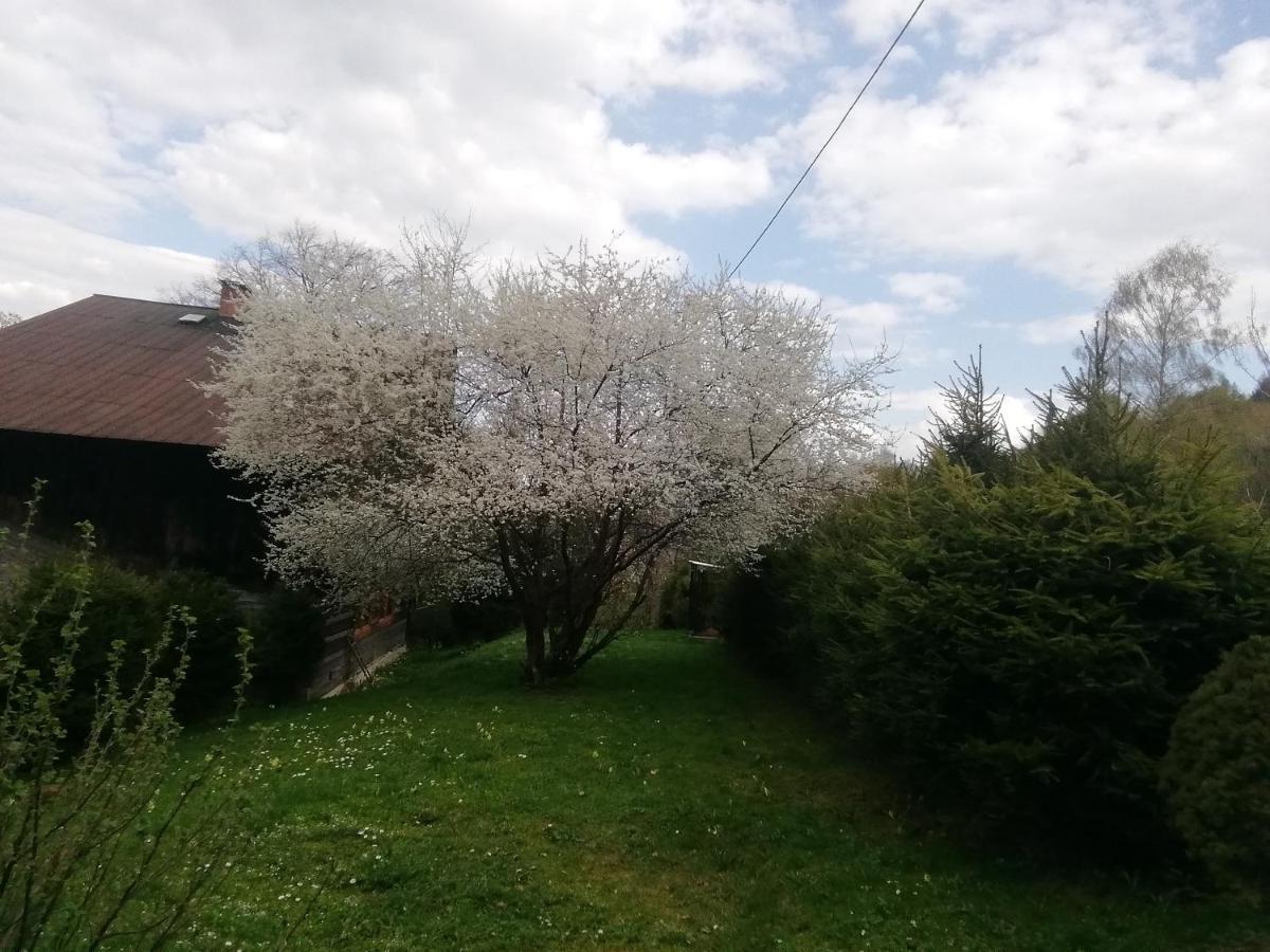 Rzeczne Zacisze Hotel Ustrzyki Dolne Exterior foto